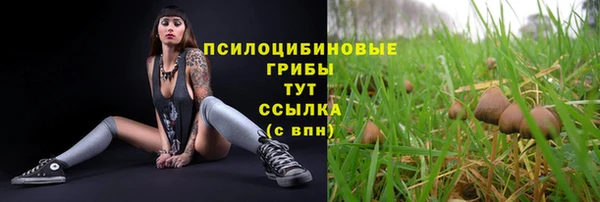 спиды Аркадак