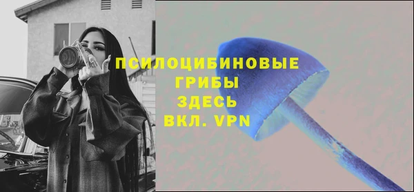 дмт Армянск