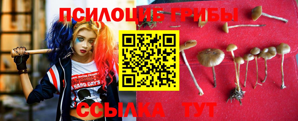 Галлюциногенные грибы Psilocybine cubensis  Псилоцибиновые грибы ЛСД  Вход с VPN  Сатка 