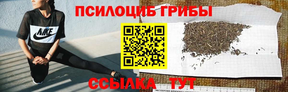 Галлюциногенные грибы прущие грибы Сатка