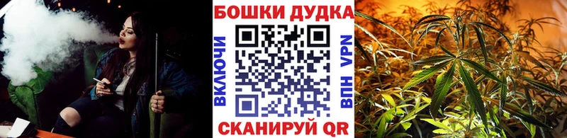 Конопля MAZAR  Сатка 